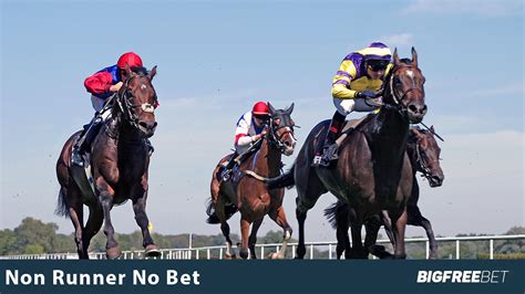 ladbrokes cheltenham non runner no bet|Cheltenham Festival NRNB: The first three bookmakers to offer .